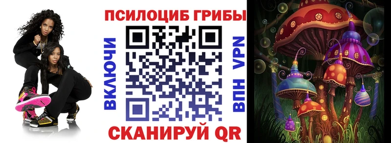 сайты даркнета клад  Верея  Псилоцибиновые грибы ЛСД 